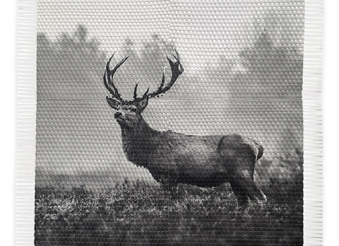 Red Deer 32x40 Bengoechea Woven Photograph